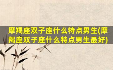 摩羯座双子座什么特点男生(摩羯座双子座什么特点男生最好)