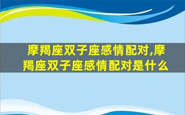 摩羯座双子座感情配对,摩羯座双子座感情配对是什么