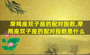 摩羯座双子座的配对指数,摩羯座双子座的配对指数是什么