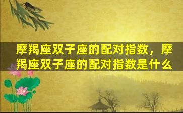 摩羯座双子座的配对指数，摩羯座双子座的配对指数是什么
