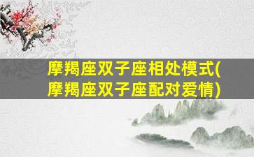 摩羯座双子座相处模式(摩羯座双子座配对爱情)
