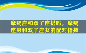 摩羯座和双子座搭吗，摩羯座男和双子座女的配对指数