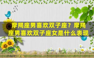 摩羯座男喜欢双子座？摩羯座男喜欢双子座女是什么表现