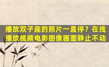 播放双子座的照片一直停？在线播放视频电影图像画面静止不动