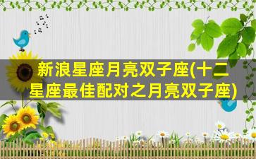 新浪星座月亮双子座(十二星座最佳配对之月亮双子座)