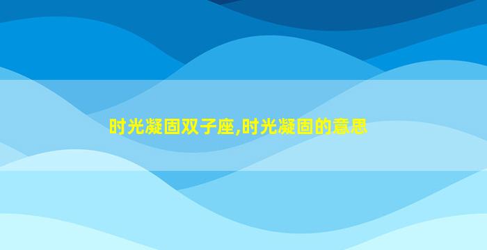 时光凝固双子座,时光凝固的意思
