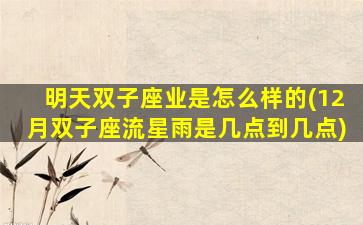 明天双子座业是怎么样的(12月双子座流星雨是几点到几点)