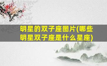 明星的双子座图片(哪些明星双子座是什么星座)