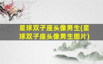 星球双子座头像男生(星球双子座头像男生图片)