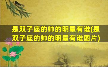 是双子座的帅的明星有谁(是双子座的帅的明星有谁图片)