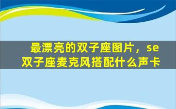 最漂亮的双子座图片，se双子座麦克风搭配什么声卡