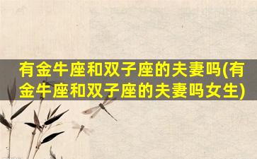 有金牛座和双子座的夫妻吗(有金牛座和双子座的夫妻吗女生)