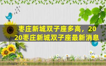 枣庄新城双子座多高，2020枣庄新城双子座最新消息