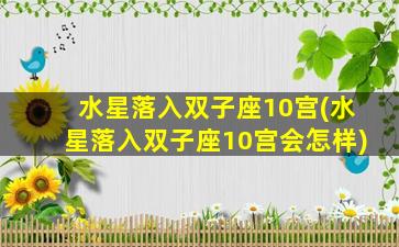 水星落入双子座10宫(水星落入双子座10宫会怎样)