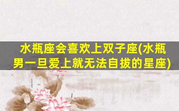 水瓶座会喜欢上双子座(水瓶男一旦爱上就无法自拔的星座)