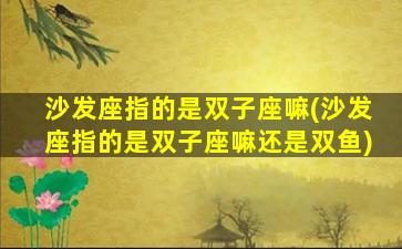 沙发座指的是双子座嘛(沙发座指的是双子座嘛还是双鱼)
