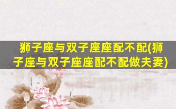 狮子座与双子座座配不配(狮子座与双子座座配不配做夫妻)