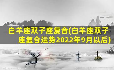 白羊座双子座复合(白羊座双子座复合运势2022年9月以后)
