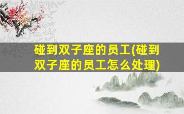 碰到双子座的员工(碰到双子座的员工怎么处理)