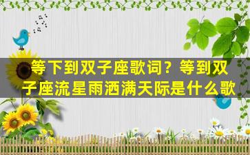 等下到双子座歌词？等到双子座流星雨洒满天际是什么歌