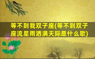 等不到我双子座(等不到双子座流星雨洒满天际是什么歌)
