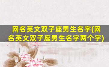 网名英文双子座男生名字(网名英文双子座男生名字两个字)