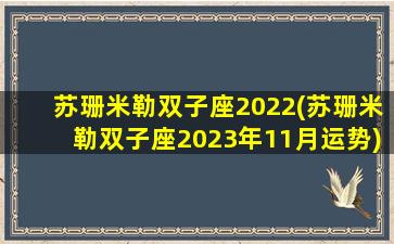 苏珊米勒双子座2022(苏珊米勒双子座2023年11月运势)