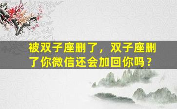 被双子座删了，双子座删了你微信还会加回你吗？