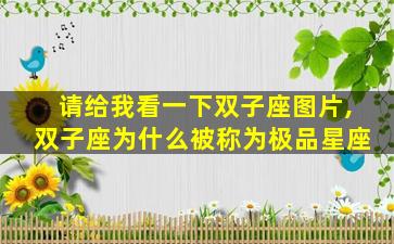 请给我看一下双子座图片,双子座为什么被称为极品星座