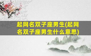 起网名双子座男生(起网名双子座男生什么意思)