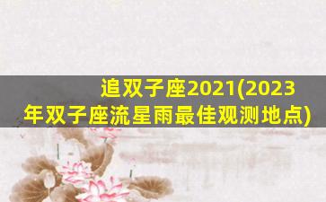 追双子座2021(2023年双子座流星雨最佳观测地点)