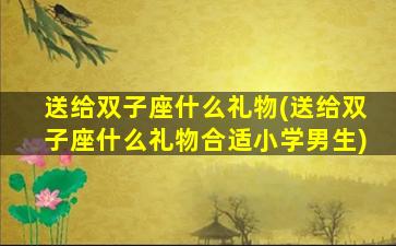 送给双子座什么礼物(送给双子座什么礼物合适小学男生)