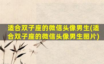 适合双子座的微信头像男生(适合双子座的微信头像男生图片)