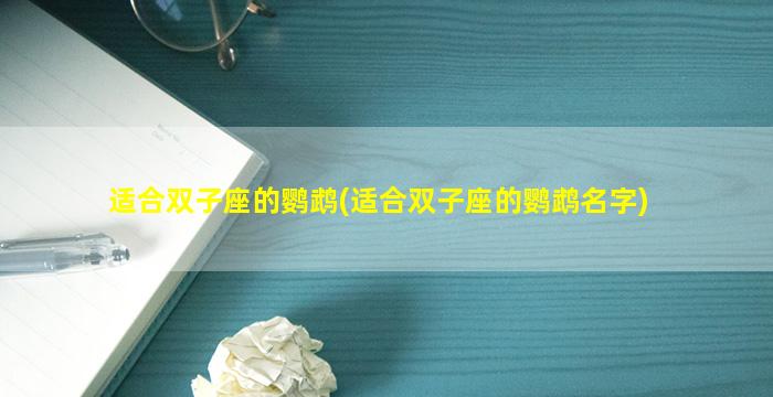 适合双子座的鹦鹉(适合双子座的鹦鹉名字)