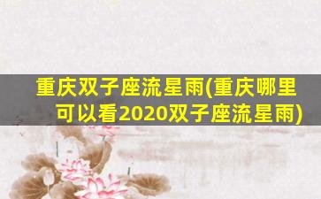 重庆双子座流星雨(重庆哪里可以看2020双子座流星雨)