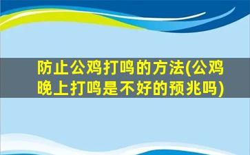 防止公鸡打鸣的方法(公鸡晚上打鸣是不好的预兆吗)