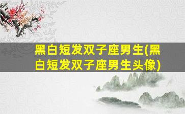 黑白短发双子座男生(黑白短发双子座男生头像)